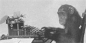 Monkey typing Shakespeare